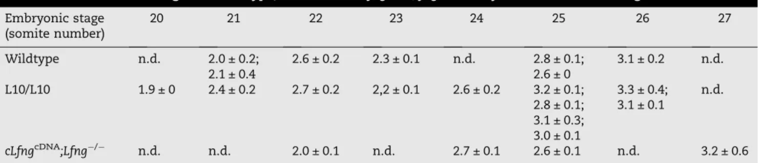 Table 3 – Relative somite lengths in wildtype, L10/L10 and clfng cDNA ;lfng / embryos at 20–27 somite stages.