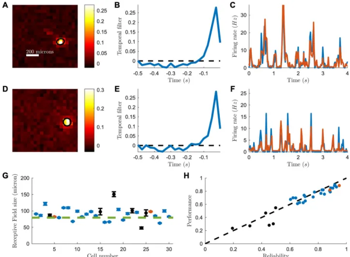 Fig 1. Receptive field and LN model for a ReaChR reactivated mouse retina. (A) Spatial receptive field of one example RGC, computed from the spike-triggered average (STA) to a checkerboard stimulus