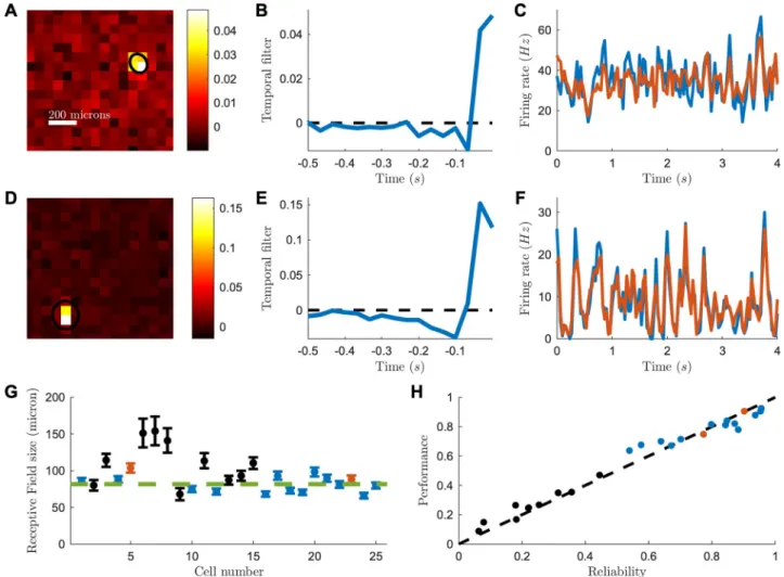 Fig 2. Receptive field and LN model for a CatCh reactivated macaque retina. (A) Spatial receptive field of one example RGC, computed from the spike-triggered average (STA) to a checkerboard stimulus
