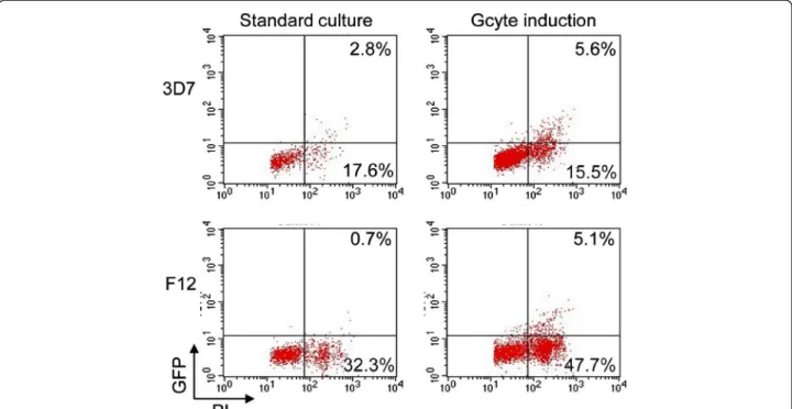 Figure 3 Culture conditions inducing sexual differentiation result in increased number of multinucleated-schizont stage parasites expressing Pfnek-4