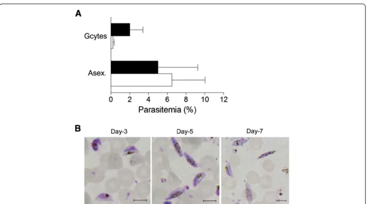 Figure 4 Commitment of Pfnek-4-GFP + -sorted parasites to sexual differentiation. Pfnek-4-GFP parasite transfectants grown for four days under conditions inducing commitment to sexual differentiation, were enriched for schizont stages, separated into GFP -