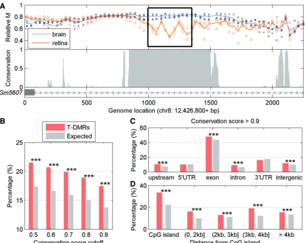 Figure 2. Evolutionary conservation of T-DMRs. (A) MeKL-chip CpG site methylation proﬁling (relative methylation, M) in brain (blue) and retina (orange) in the intergenic region of Gm5607 (top) and sequence conservation across 16 species (bottom)