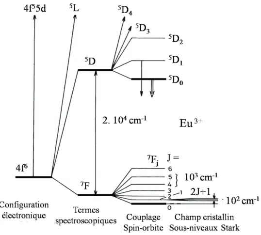 Figure 2.8 : Levée de dégénérescence des niveaux électroniques de l’ion Eu 3+  libre. 