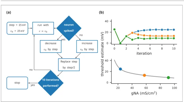 Figure 4. Case study 3: Using bisection to find a neuron’s voltage threshold. (a) Schematic of the bisection algorithm for finding a neuron’s voltage threshold