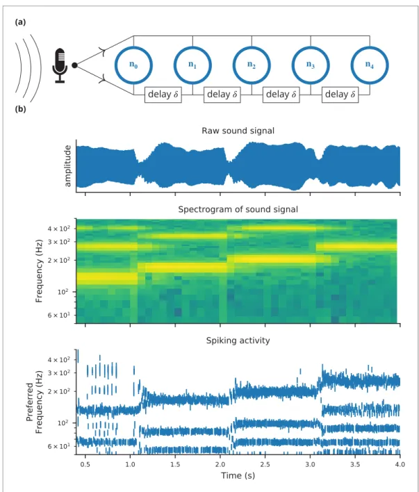 Figure 6. Case study 4: Neural pitch processing with real-time input. (a) Model schematic: Audio input is converted into spikes and fed into a population of coincidence-detection neurons via two pathways, one instantaneous, that is without any delay (top),