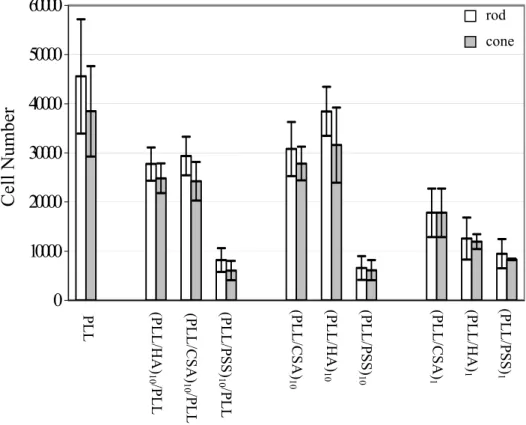 Figure 8. Rod and cone numbers after 48 h incubation on different polyelectrolyte films  composed of one and ten bilayers of PLL/CSA, PLL/HA, and PLL/PSS, and ending either as  PLL or selected polyanions (CSA, HA or PSS)