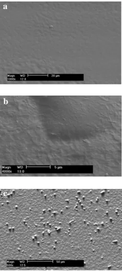 Figure 10. Scanning electron micrographs (SEM) of (PLL/CSA) 10 /PLL bilayers a) before, b)  after IPM adsorption and c) 48 h after photoreceptor cell seeding
