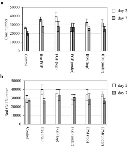 Figure 11. Effects of bFGF and IPM on the number of a) cones, b) rods at days 2 and 7