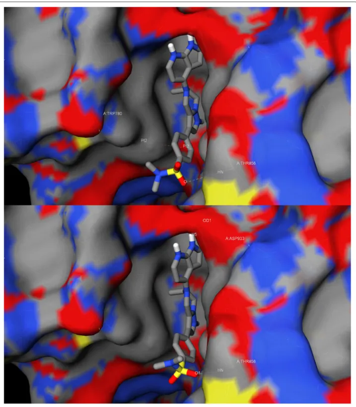Fig. 1 Example of pose generation error. Top: crystal structure of PI3K α in complex of a tetrahydropyrazolo[1,5-a]pyrazine codenamed 3K6 (PDB ID: