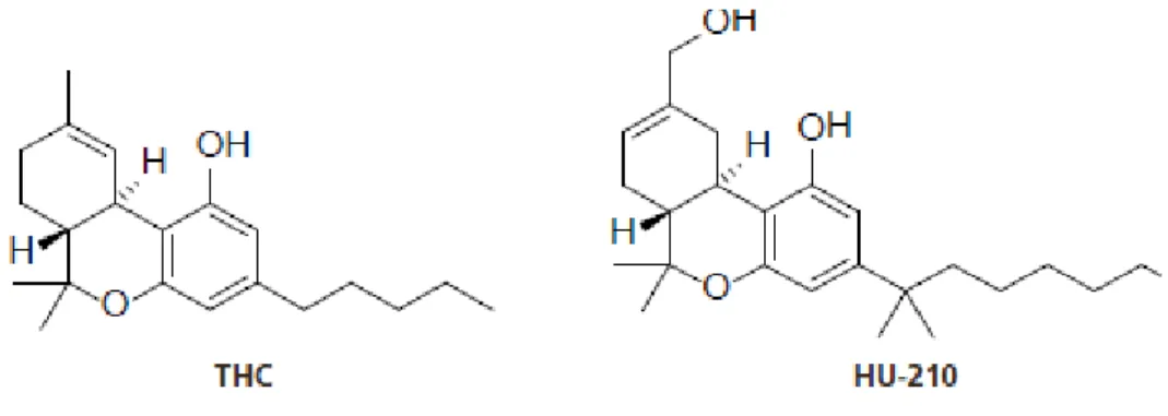 Figure 3 : Structure chimique des molécules de THC (9-delta-tétrahydrocannabinol) et de HU 210 (11- (11-hydroxy-8-delta-THC-DMH) 