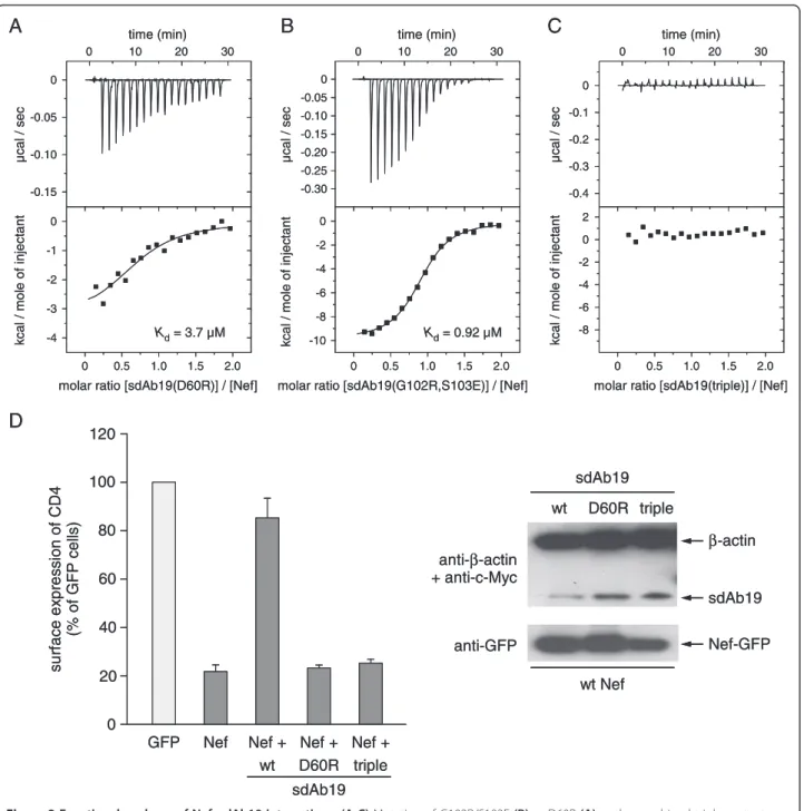 Figure 3 Functional analyses of Nef – sdAb19 interactions. (A-C) Mutation of G102R/S103E (B) or D60R (A) or the combined triple mutant D60R/G102R/S103E (C) in sdAb19 gradually attenuated binding to Nef as determined by ITC measurements