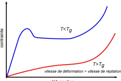 Figure 8: Schéma de courbes contrainte-déformation types d'un polymère à l'état vitreux (bleu) et caoutchouteux (rouge)