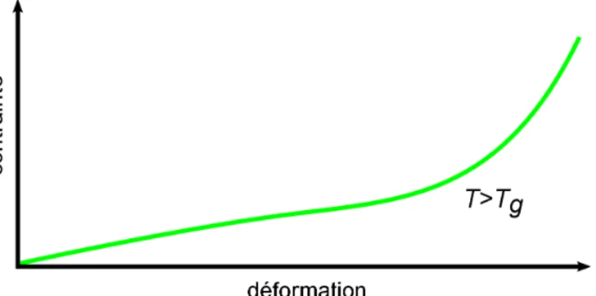Figure 12: Courbe contrainte déformation type d'un élastomère au dessus de la température de transition vitreuse.