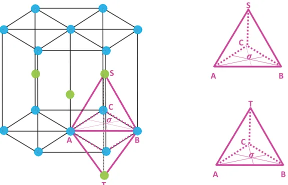 Figure I.1.9: Représentation du double tétraèdre dans la maille hexagonale compacte.