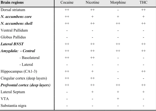 Table 1: Effects of drugs of abuse on ERK1/2 phosphorylation in mouse brain 