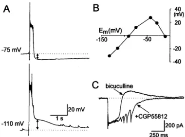 Figure 8. GABA(B) receptors contribute to the termination of bicuculline-induced epileptiform discharges