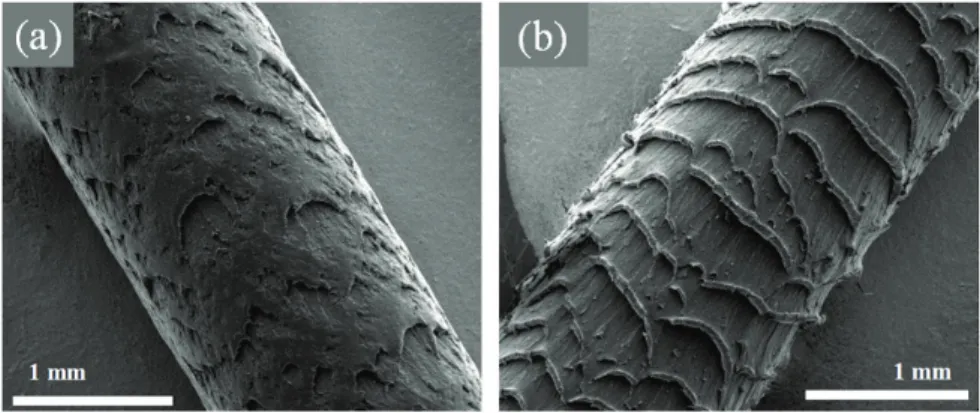 Fig. 1.16. Examples of extrudate distortions in EVA filled with 30 vol% sub-micrometric zirconia powders  whose size and distribution are (a) d 50 =0.18 ȝm, monomodal (b) d 50 =0.25 ȝm, bimodal