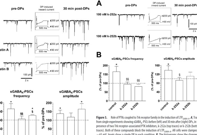 Figure 3. Role of PTKs coupled to Trk receptor family in the induction of LTP GABA-A 