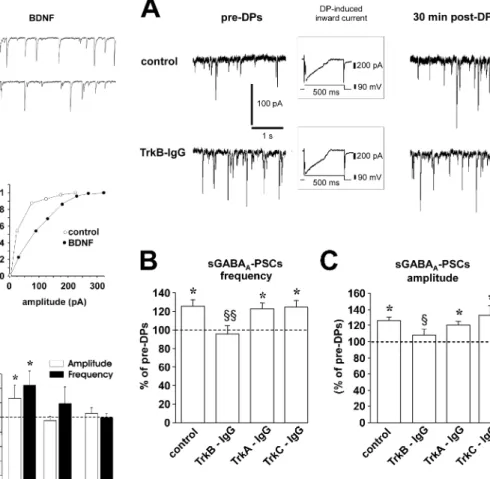 Figure 5. Role of endogenous TrkB ligands in the induction of LTP GABA-A . A, Traces from a single experiment show sGABA A -PSCs before (left) and 30 min after (right) DPs
