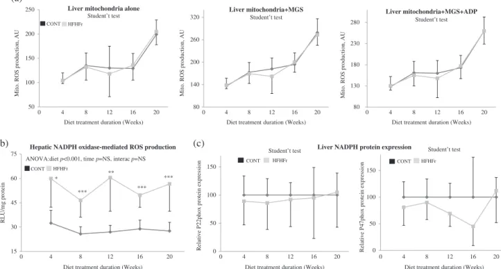 Fig. 3 Liver mitochondrial-mediated and NADPH oxidase-mediated reactive oxygen species (ROS) production and NADPH protein expression.