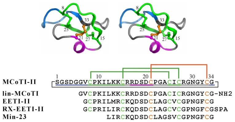 Figure 2 summarizes the sequential and medium range nuclear Overhauser effects (NOEs),  3 J HN-H   coupling  con-stants, slowly exchanging amide protons and the C  chemical shift differences from random coil values for the lin-MCoTI peptide [32,33]