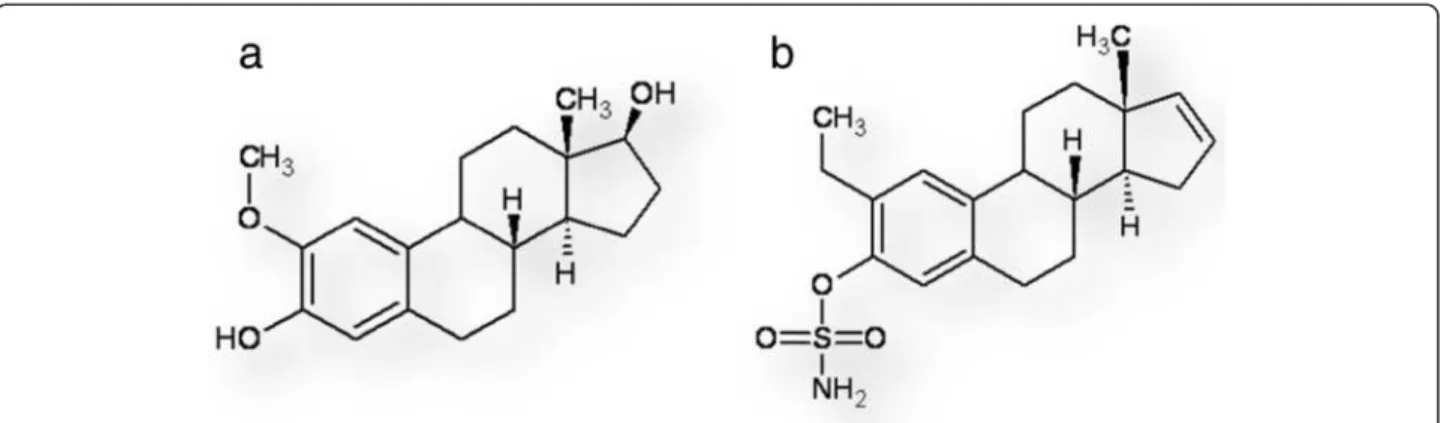 Figure 1 Structure of 2-ME and ESE-16. (a) shows the parent compound, (17 beta)-2-methoxyestra-1,3,5(10)-triene-3,17-diol (2-methoxyestradiol).