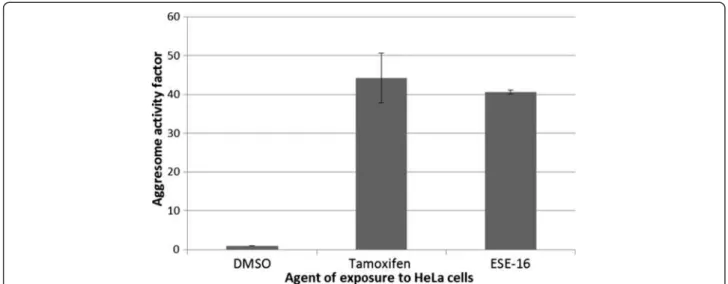Figure 5 Aggresome activity factor in ESE-16-exposed HeLa cells. Cells treated with tamoxifen and ESE-16 was compared to the negative DMSO vehicle control