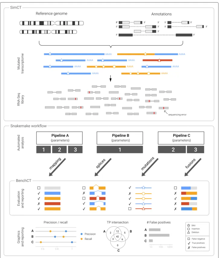 Fig. 1 Overview of the SimBA benchmarking procedure. A benchmarking pipeline implemented with SimBA is composed of three components, i/