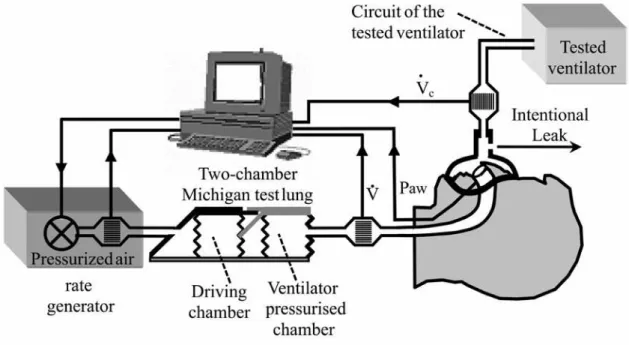 Figure 1: Lung bench test  
