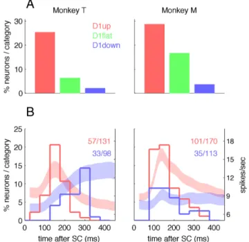 Figure 3. Phasic activity following SC. A, Percentages of neurons with a phasic burst of activity in 200 ms following SC, expressed as a fraction of the numbers of neurons per category.