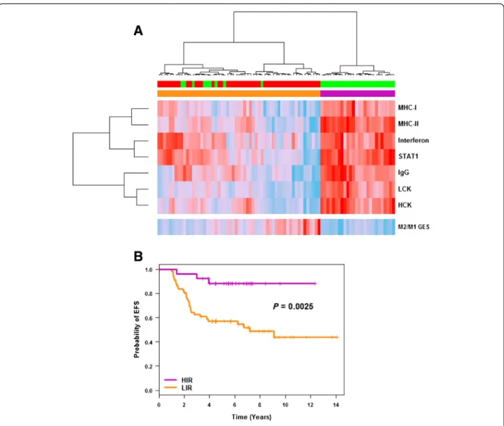 Figure 4 C2/C3 immune response dissection. (A) Ward ’ s hierarchical clustering and heatmap showing the segregation of C2 (red) and C3 (green) patients as a function of the seven Rody ’ s metagenes (B lymphocytes (IgG); macrophages and monocyte/myeloid lin