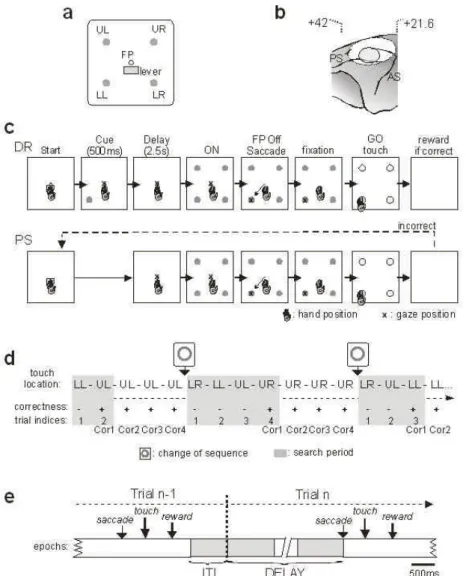 Figure 1. Display, trial structures in DR and PS tasks, task-related intervals, and location of recordings