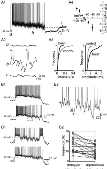 Figure 11. IPSP activity during bursts.A1, Left hand, Example of a burst of APs during phasic activity