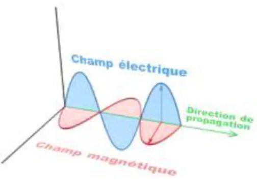 Figure 1 : Orientation du champ électromagnétique dans l'espace d’après le site internet  www.diffusion.ens.fr 