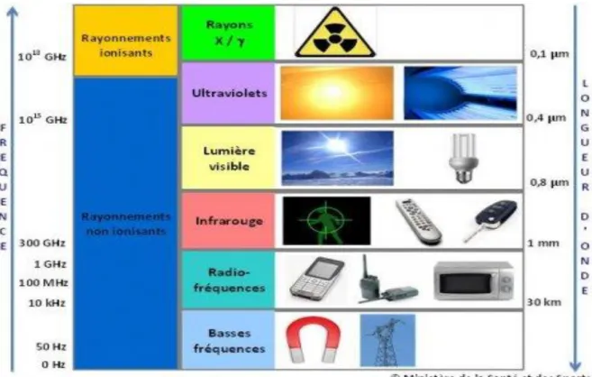 Figure 3 : Le spectre électromagnétique d’après le site internet  www.radiofrequences.gouv.fr