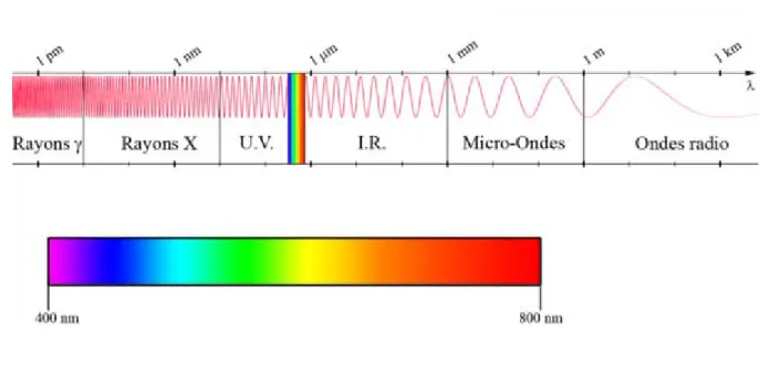 Figure 4 : Place de la lumière dans le spectre électromagnétique d’après le site internet  www.oliams.wordpress.com