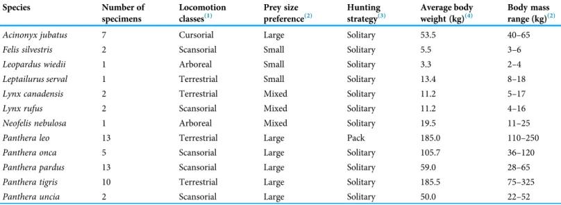Table 1 Morphological and behavioral characteristics of felids and species used to compare the inter-iliac angle.