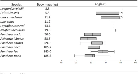 Figure 4 Boxplots and whiskers showing the statistical distribution of measured inter-iliac angle in