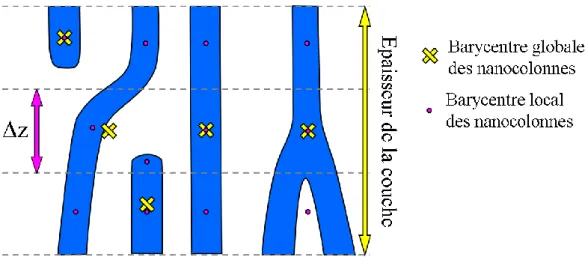 Figure  2.18 :  Représentation  schématique  des  différentes  morphologies  de  nanocolonnes  qui  peuvent  être  observées sur l’épaisseur de la couche