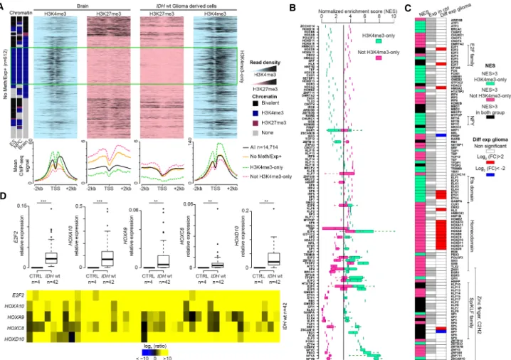 Figure 6. Transcription factor binding motifs in the promoters of genes overexpressed in glioma samples