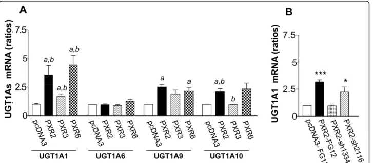 Figure 7 A, UGT1As mRNA expression levels in pcDNA3, PXR2, PXR3 and PXR6 cells. Results were obtained from six separate experiments;