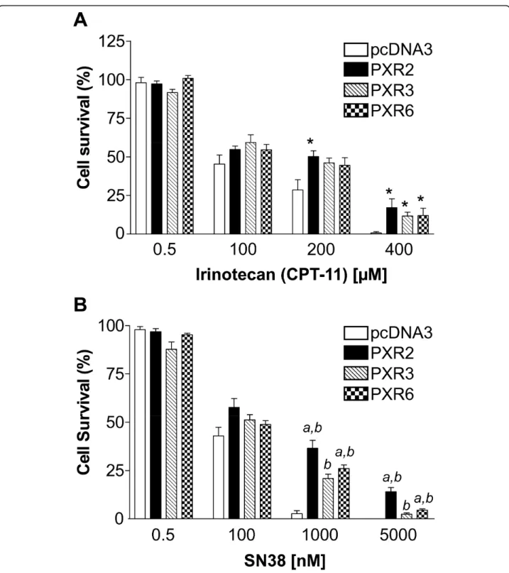 Figure 3 Increased chemoresistance in PXR overexpressing cells to irinotecan and SN38