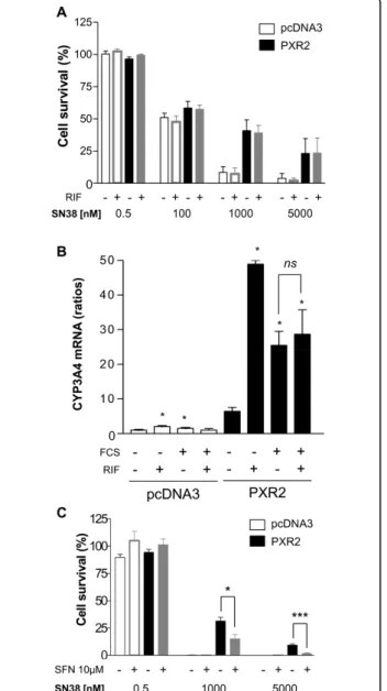 Figure 4 A, cell viability assay on pcDNA3-transfected and PXR2 cells treated with rifampicin (RIF)