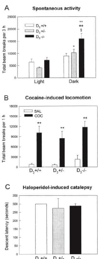 Figure  6.  A.  Spontaneous  locomotor  activity  of  naive  D3+/+,  D3+/–  and  D3–/–  mice  during  the  light  and  dark  periods of the circadian cycle
