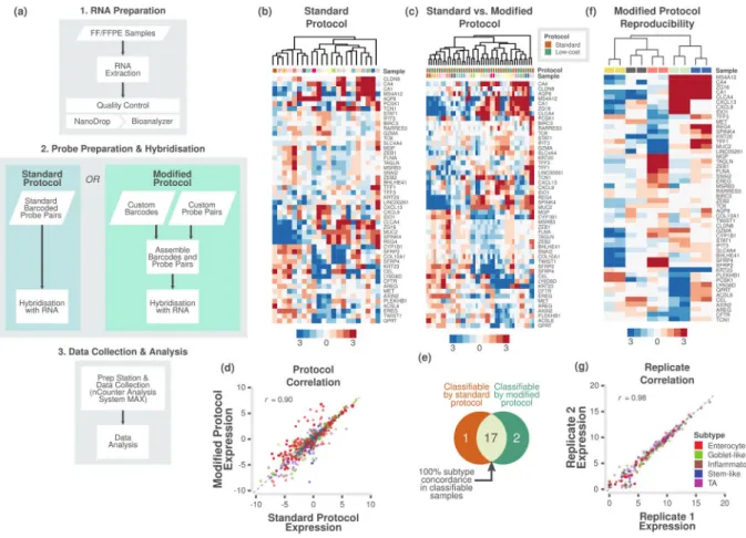 Figure 1.  Assessment of different protocols and reproducibility of reduced gene subtype-based nCounter assay  in fresh frozen samples
