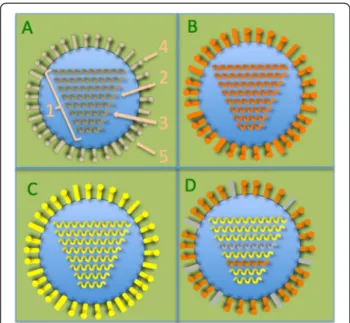 Figure 1 Antigenic shift explains H7N9 emergence. A. Scheme of flu virus. (gray color will be kept as meaningful for domestic duck)