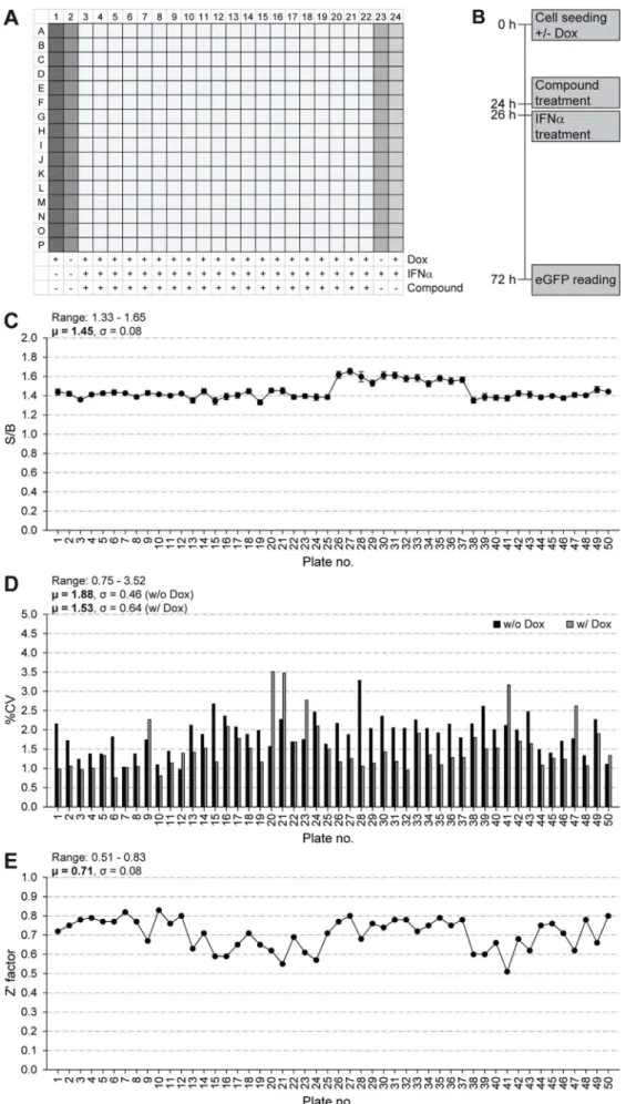 Fig. 8. Single-point high-throughput screen to identify compounds that inhibit the IFN signaling antagonist function of CMV IE1.