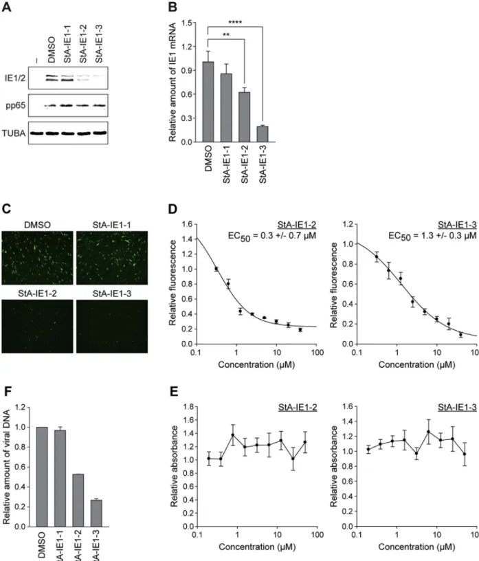 Fig. 10. StA-IE1-2 and StA-IE1-3 inhibit CMV major IE gene expression and CMV replication