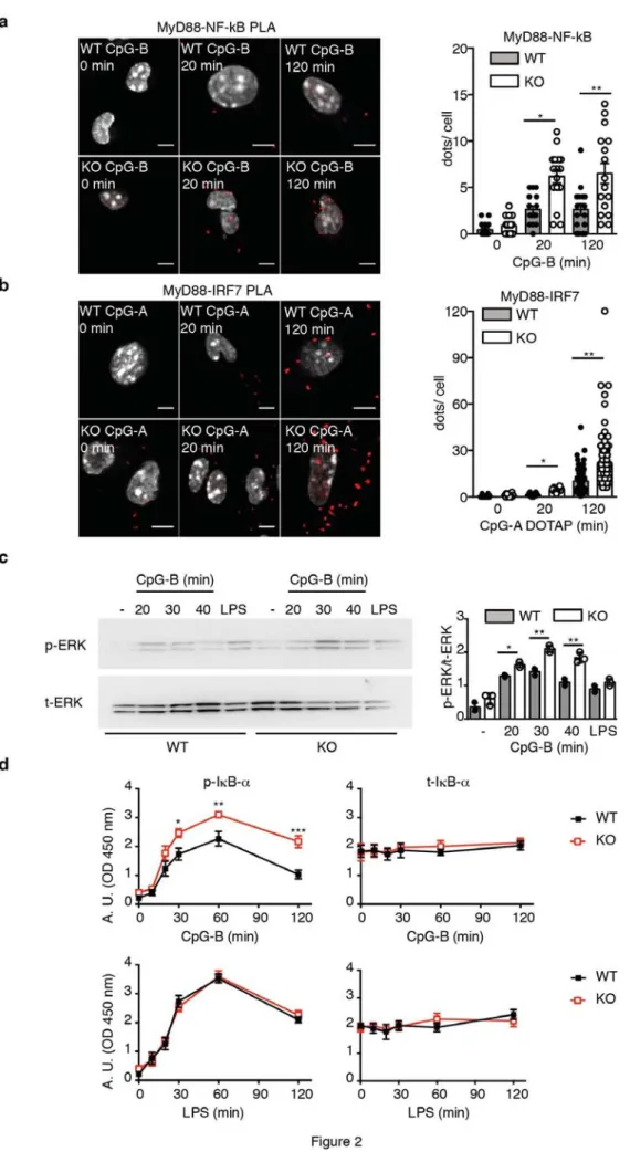 Figure 2.jpg (Image JPEG, 1473 × 2709 pixels) - Redimensionnée (33%) http://www.hal.inserm.fr/file/tmp/fid/11