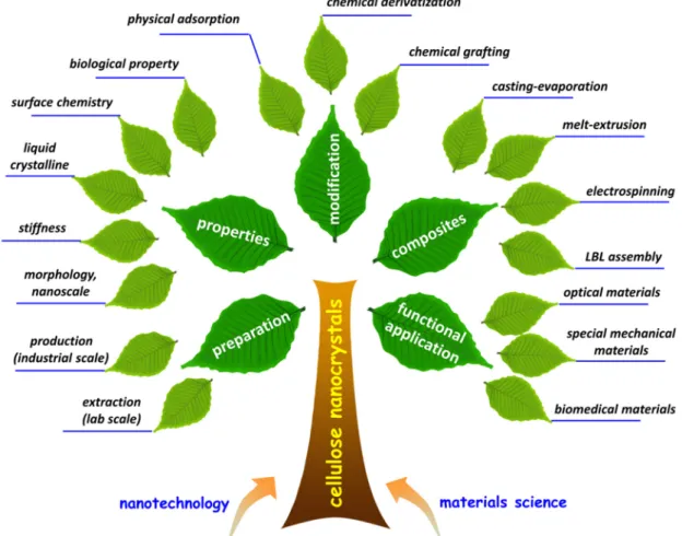 Figure 1. Dendrogram of classification and topics for the research on cellulose nanocrystals.